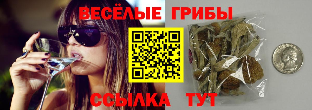 как найти   Вход с VPN  Новошахтинск  Галлюциногенные грибы мицелий 