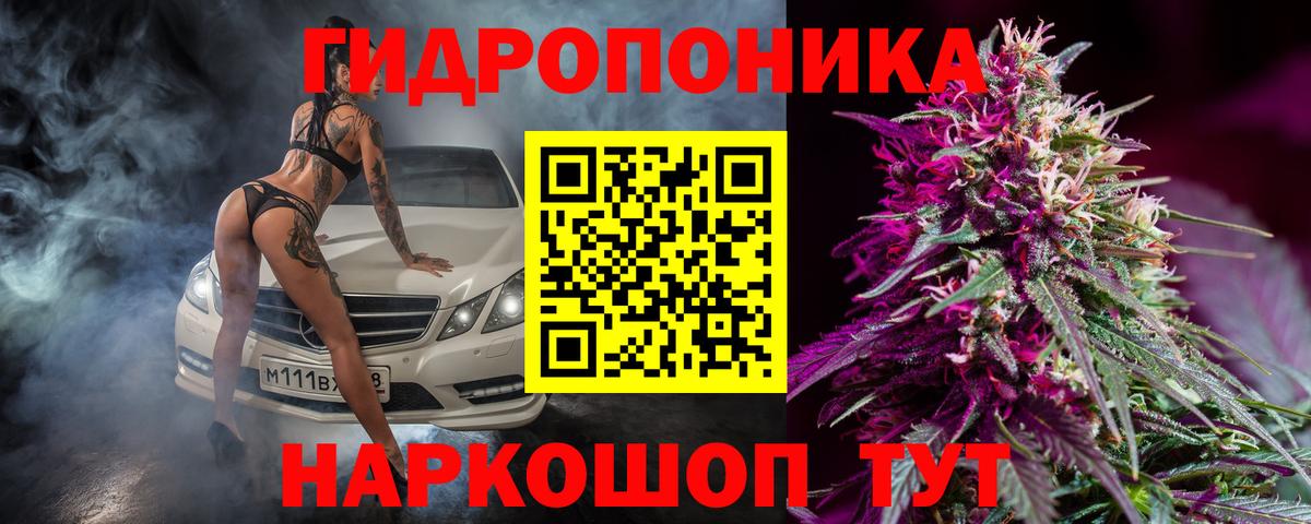 Бошки марихуана THC 21% Новошахтинск